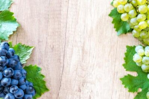宜宾五粮液厂白酒代理 宜宾五粮液厂白酒代理电话
